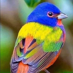 Meet your Posher, Elizabeth